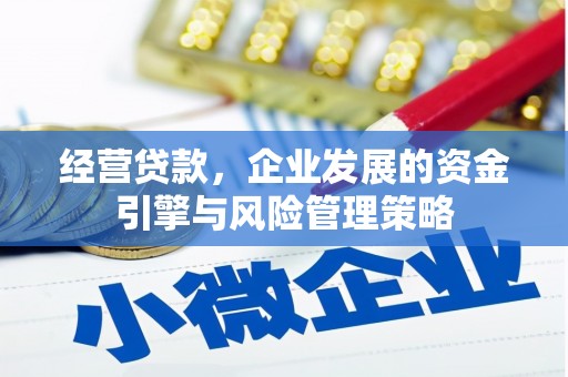 中国香港经营贷款，企业发展的资金引擎与风险管理策略