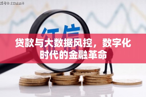 中国香港贷款与大数据风控，数字化时代的金融革命