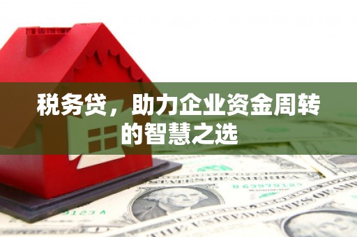 中国香港税务贷，助力企业资金周转的智慧之选