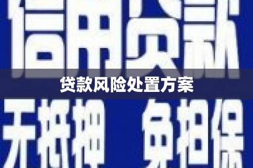 中国香港贷款风险处置方案