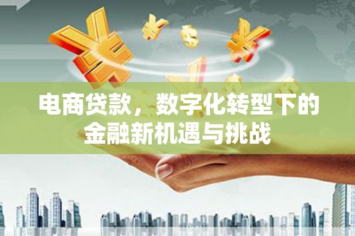 中国香港电商贷款，数字化转型下的金融新机遇与挑战