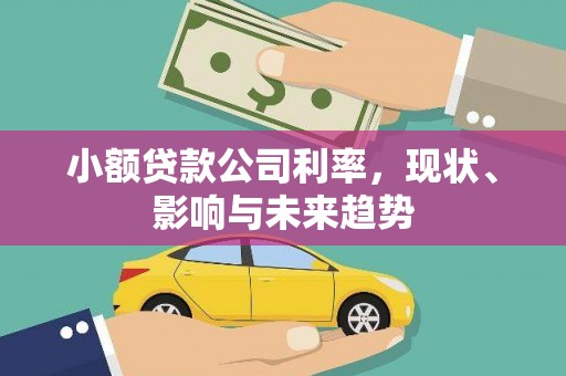 中国香港小额贷款公司利率，现状、影响与未来趋势