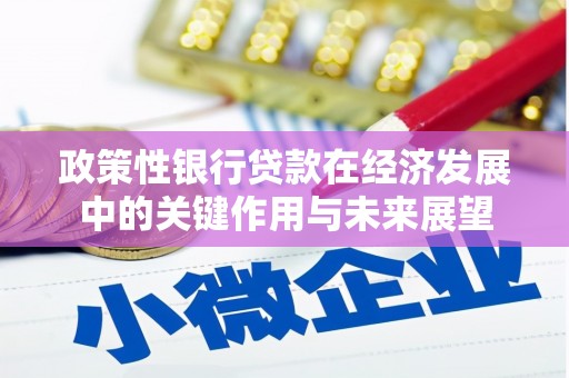 中国香港政策性银行贷款在经济发展中的关键作用与未来展望