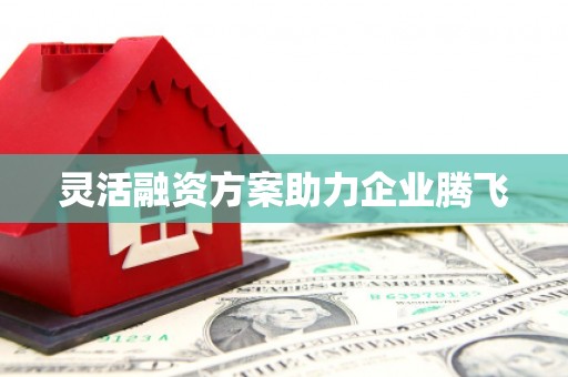 中国香港灵活融资方案助力企业腾飞