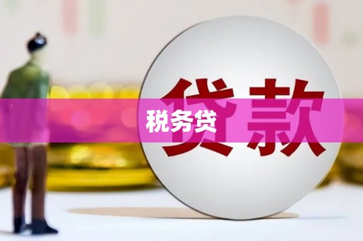 中国香港税务贷
