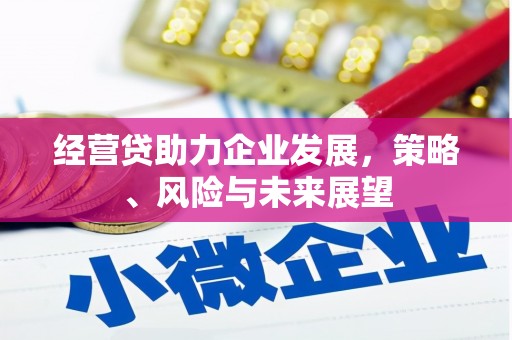 中国香港经营贷助力企业发展，策略、风险与未来展望