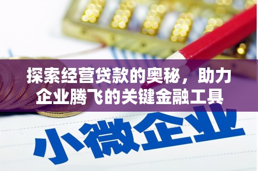 中国香港探索经营贷款的奥秘，助力企业腾飞的关键金融工具