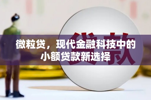 中国香港微粒贷，现代金融科技中的小额贷款新选择