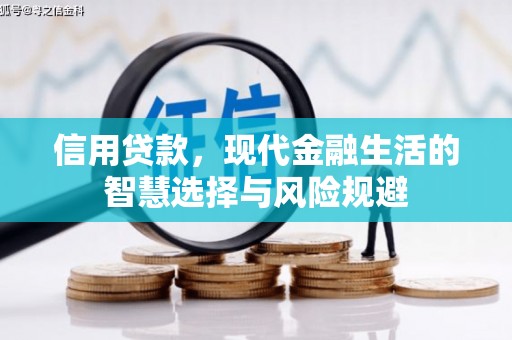 中国香港信用贷款，现代金融生活的智慧选择与风险规避