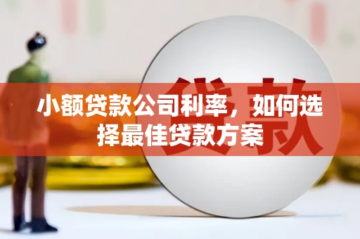 中国香港小额贷款公司利率，如何选择最佳贷款方案