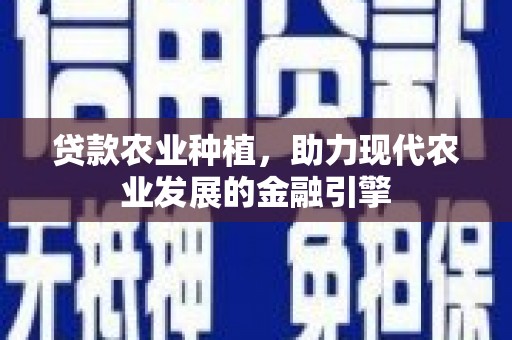 中国香港贷款农业种植，助力现代农业发展的金融引擎