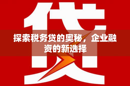 中国香港探索税务贷的奥秘，企业融资的新选择