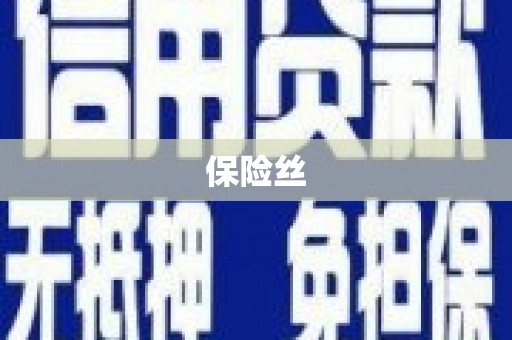中国香港保险丝