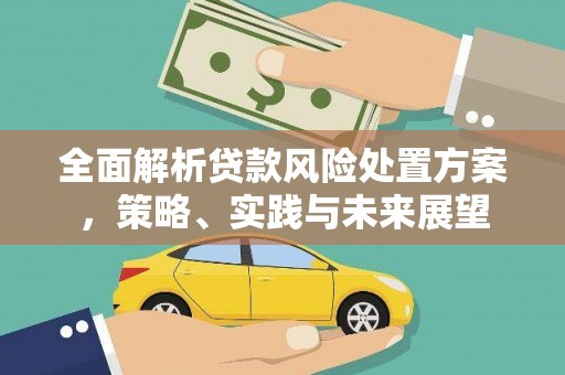 中国香港全面解析贷款风险处置方案，策略、实践与未来展望