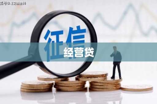 中国香港经营贷