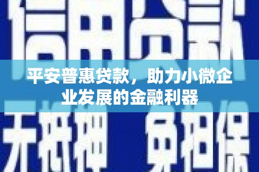 中国香港平安普惠贷款，助力小微企业发展的金融利器