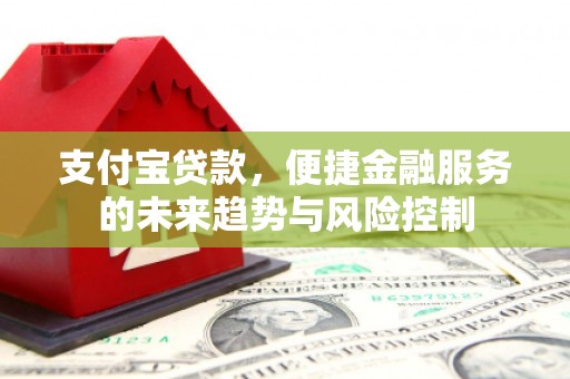 中国香港支付宝贷款，便捷金融服务的未来趋势与风险控制
