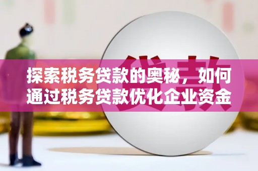中国香港探索税务贷款的奥秘，如何通过税务贷款优化企业资金流