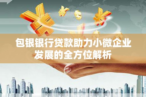 中国香港包银银行贷款助力小微企业发展的全方位解析