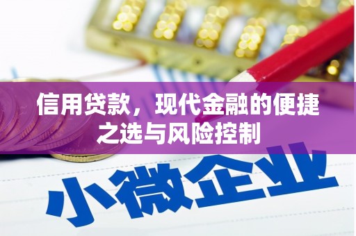 中国香港信用贷款，现代金融的便捷之选与风险控制