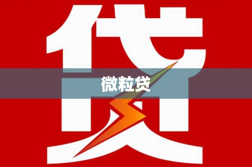 中国香港微粒贷