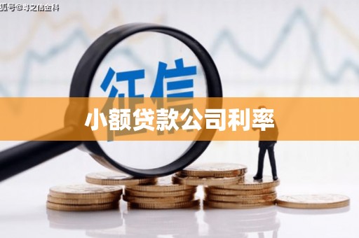 中国香港小额贷款公司利率