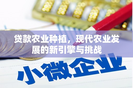中国香港贷款农业种植，现代农业发展的新引擎与挑战