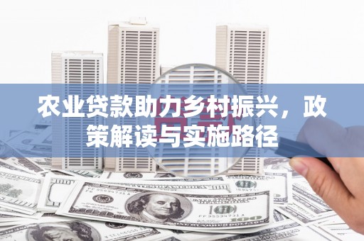 中国香港农业贷款助力乡村振兴，政策解读与实施路径
