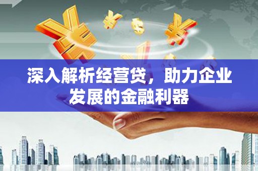 中国香港深入解析经营贷，助力企业发展的金融利器