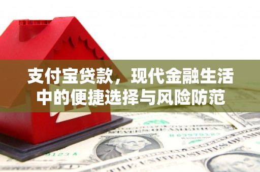 中国香港支付宝贷款，现代金融生活中的便捷选择与风险防范