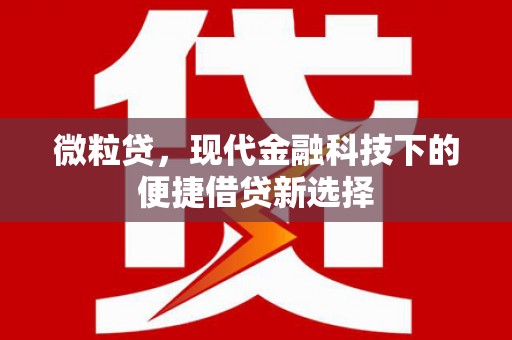 中国香港微粒贷，现代金融科技下的便捷借贷新选择
