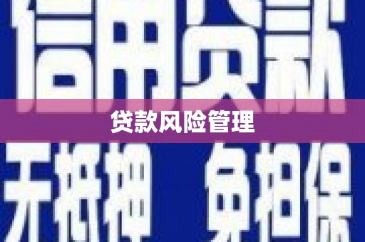 中国香港贷款风险管理