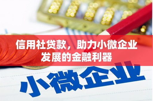 中国香港信用社贷款，助力小微企业发展的金融利器