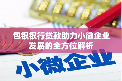 中国香港包银银行贷款助力小微企业发展的全方位解析