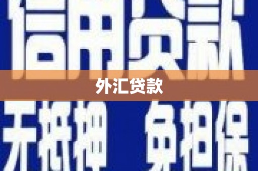 中国香港外汇贷款