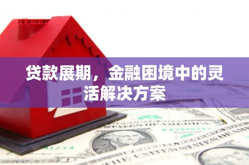 中国香港贷款展期，金融困境中的灵活解决方案