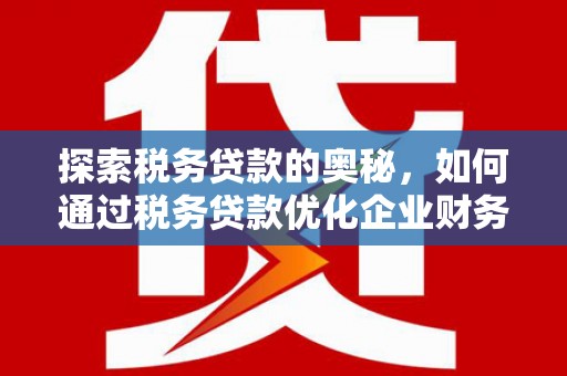 中国香港探索税务贷款的奥秘，如何通过税务贷款优化企业财务