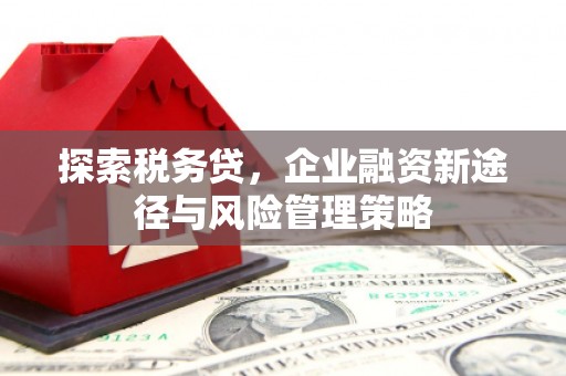 中国香港探索税务贷，企业融资新途径与风险管理策略