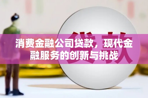 中国香港消费金融公司贷款，现代金融服务的创新与挑战