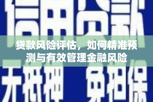 中国香港贷款风险评估，如何精准预测与有效管理金融风险