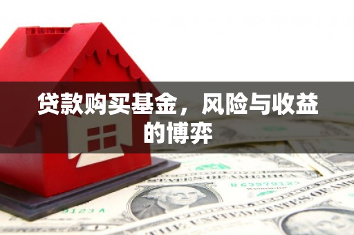 中国香港贷款购买基金，风险与收益的博弈