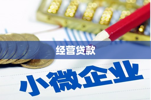中国香港经营贷款