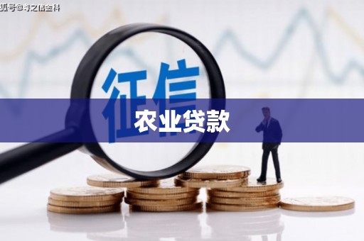 中国香港农业贷款