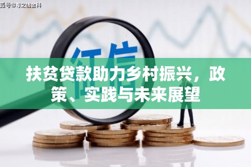 中国香港扶贫贷款助力乡村振兴，政策、实践与未来展望