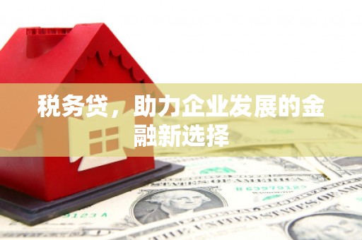 中国香港税务贷，助力企业发展的金融新选择