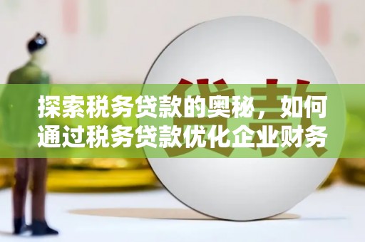 中国香港探索税务贷款的奥秘，如何通过税务贷款优化企业财务