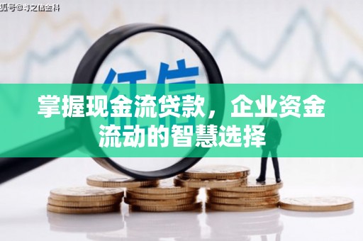 中国香港掌握现金流贷款，企业资金流动的智慧选择