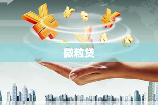 中国香港微粒贷