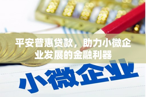 中国香港平安普惠贷款，助力小微企业发展的金融利器