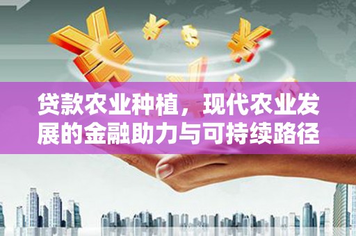 中国香港贷款农业种植，现代农业发展的金融助力与可持续路径